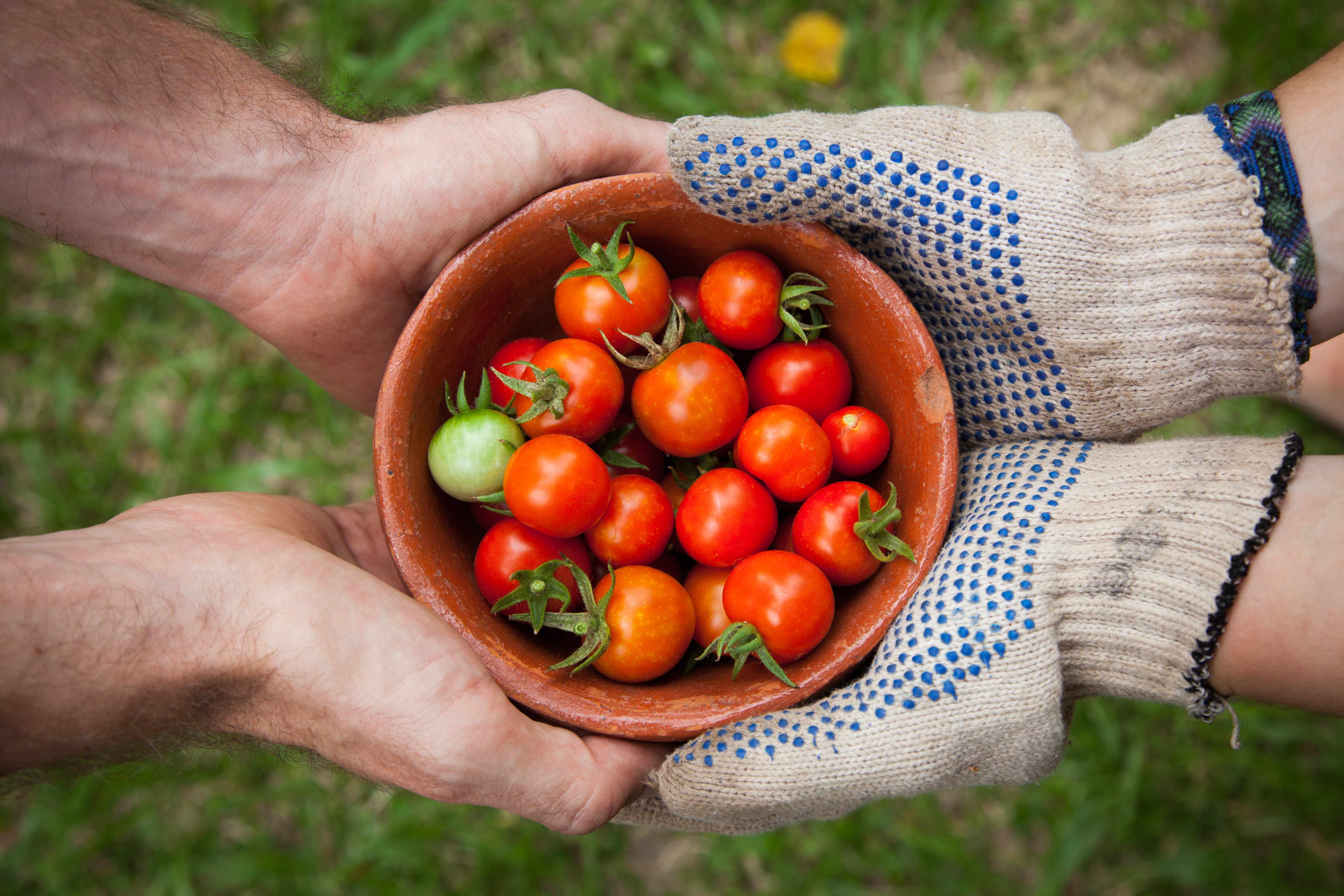 Local Food